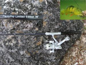 NEW PaulyPro™ 3' 0" (36") Limited Edition Front Drag Combo