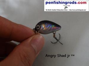 NEW Angry Shad jr ™ HD LifeLike Holographic Crank Bait Lure - Holographiclures.com™ 
